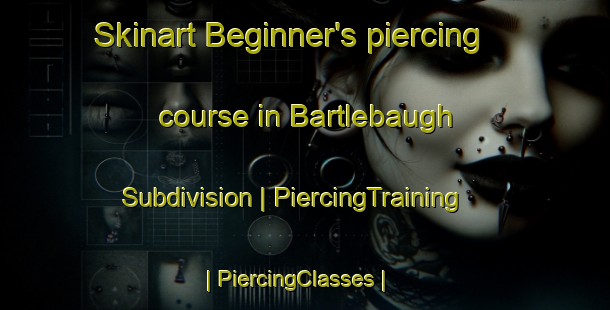 Skinart Beginner's piercing course in Bartlebaugh Subdivision | PiercingTraining | PiercingClasses | SkinartTraining-United States